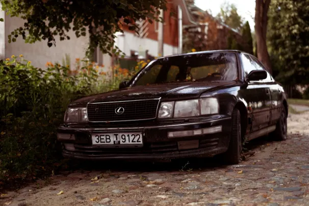 Casino Jackpot Molly Application Android/iOS